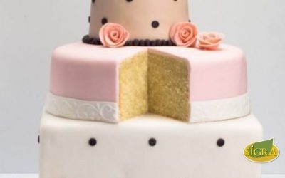 TORTA SUAVE TENTACIÓN