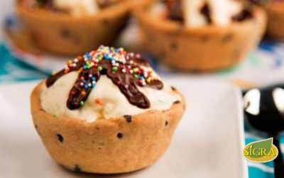 CANASTA CHIP DE HELADO