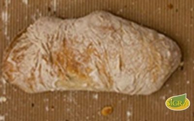 PAN DE MASA MADRE