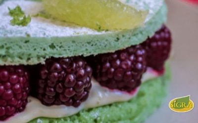 TRIFUSION CAKE BASILIC