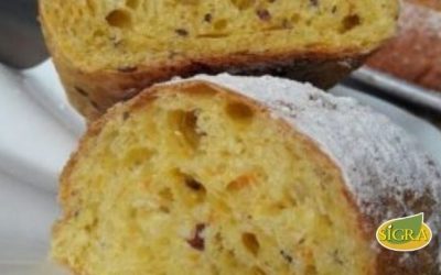 PAN DE ZANAHORIA