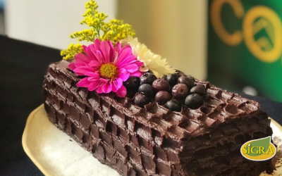 TORTA DE ARÁNDANOS