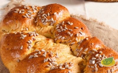 PAN DE ZANAHORIA CON GARBANZOS