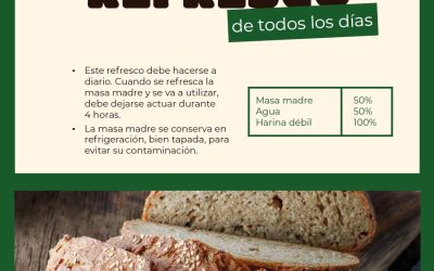 ALIMENTACIÓN MASA MADRE
